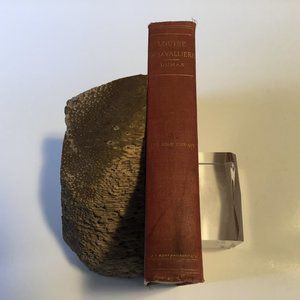 Vintage Louise De La Valliere Alexandre Dumas HC Illustrated No Date